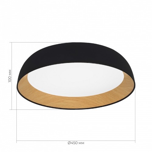 Накладной светильник EVOLUCE MUSE SLE1812-402-01