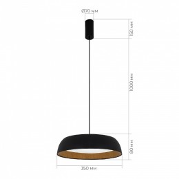 Подвесной светильник EVOLUCE MUSE SLE1812-403-01