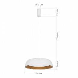 Подвесной светильник EVOLUCE MUSE SLE1812-503-01