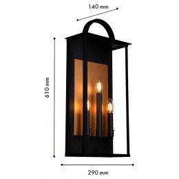 Накладной светильник Favourite Lume 4299-3W