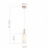 Подвесной светильник ST-Luce Elegra SL1402.253.01