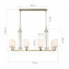 Подвесная люстра ST-Luce BRASS SL1403.333.08