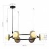 Подвесная люстра ST-Luce Noon SL1521.413.06