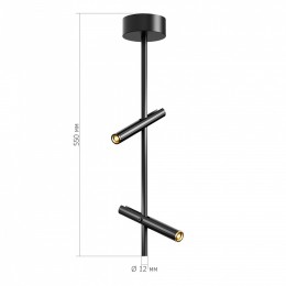 Светильник на штанге ST-Luce LILT SL6210.403.02