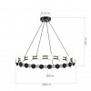 Подвесная люстра ST-Luce MONRO SL6610.403.20