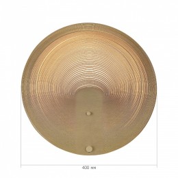 Накладной светильник ST-Luce Fossil SL6900.501.16