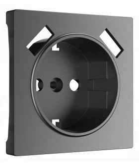 Накладка для розетки с заземлением и 2хUSB Werkel графит матовый W1179564